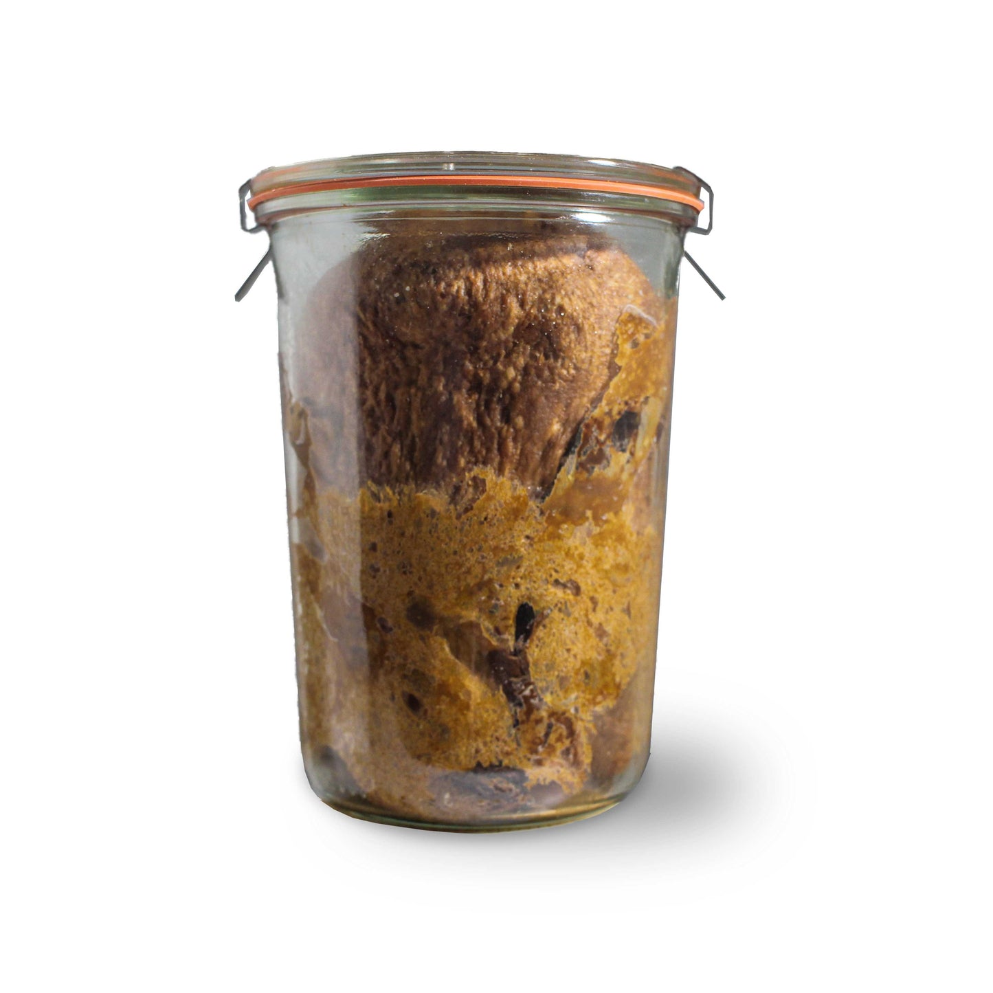 Panettone in Vasocottura Caffè, Caramello Mou e Cioccolato al Latte.